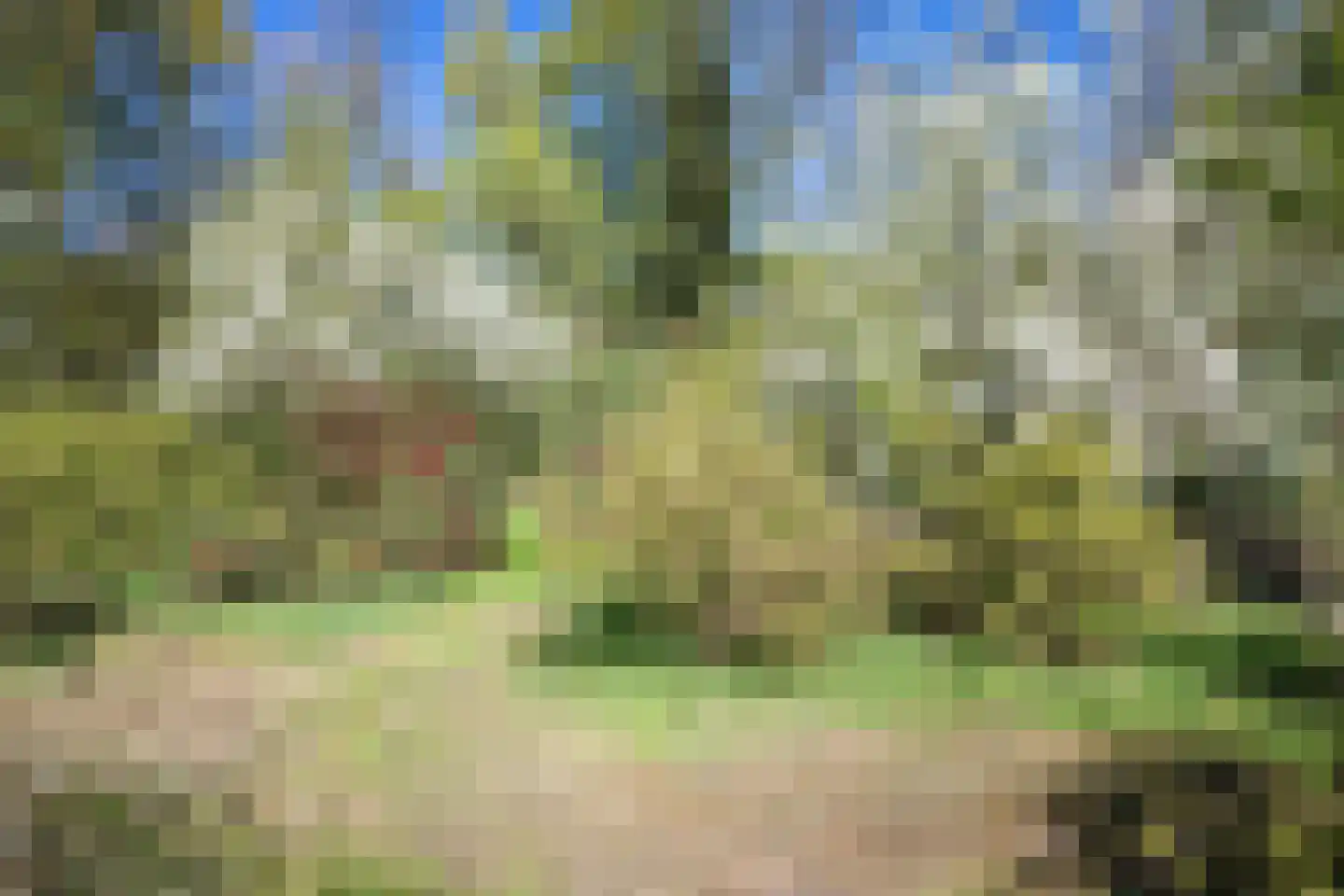 Sappemeersterweg 25 Noordbroek thumbnail 45