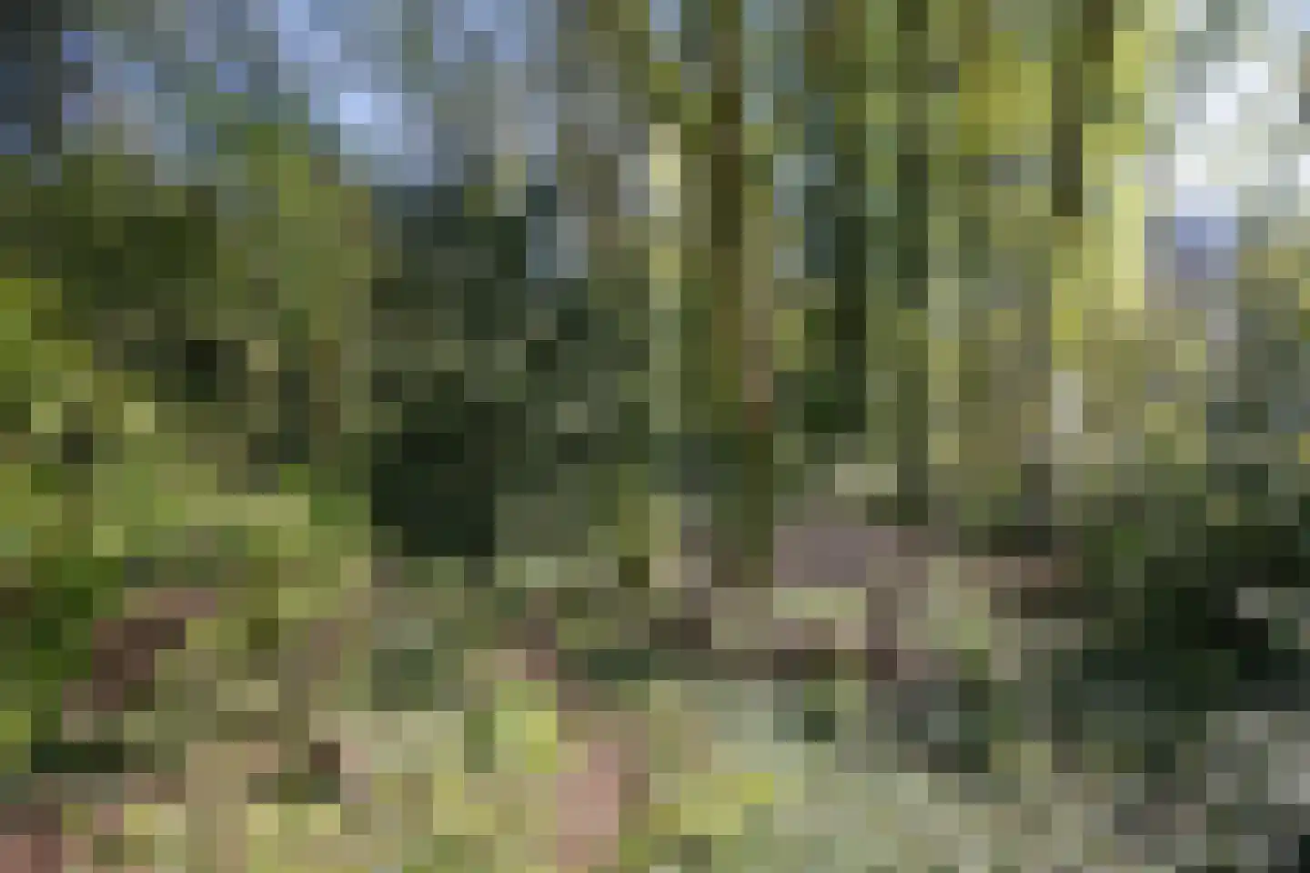 Sappemeersterweg 25 Noordbroek thumbnail 46