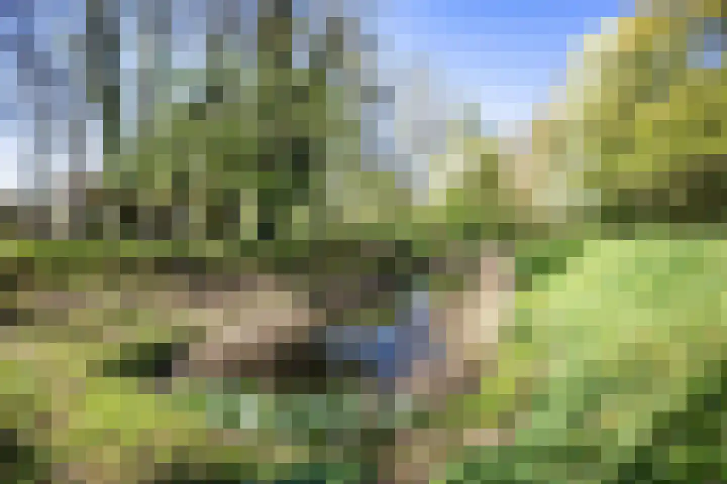Sappemeersterweg 25 Noordbroek thumbnail 47