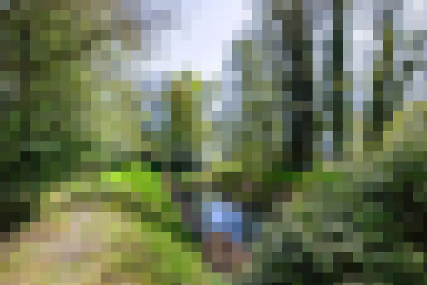 Sappemeersterweg 25 Noordbroek thumbnail 48