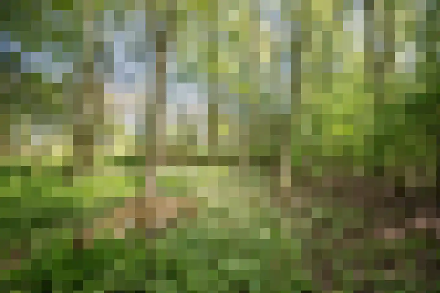 Sappemeersterweg 25 Noordbroek thumbnail 49