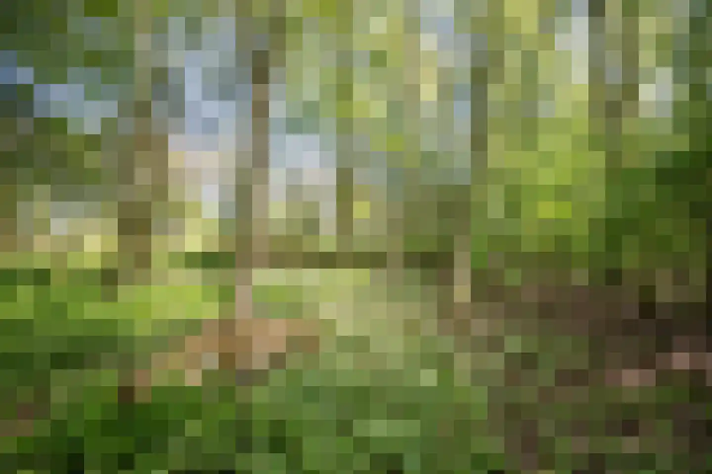 Sappemeersterweg 25 Noordbroek thumbnail 49