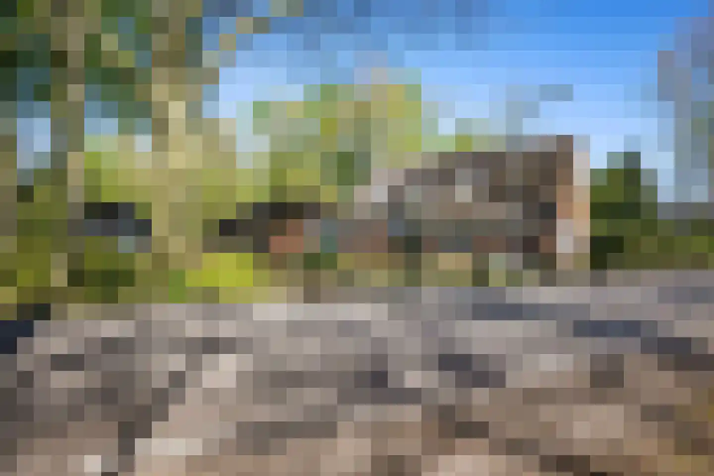 Sappemeersterweg 25 Noordbroek thumbnail 5