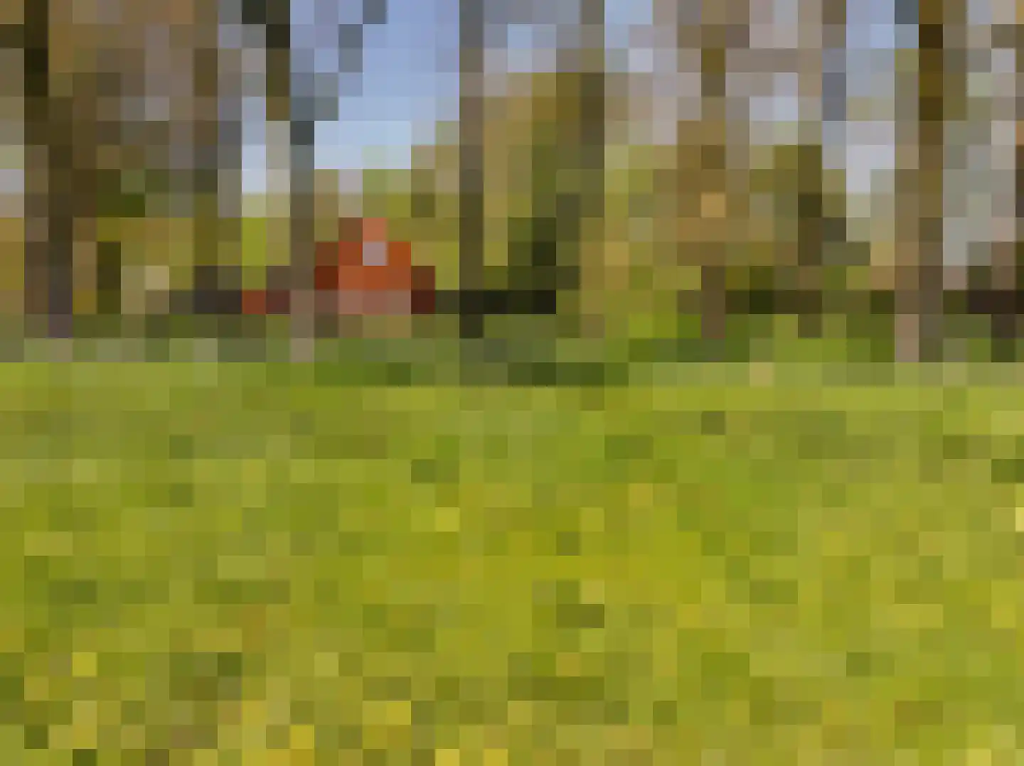 Sappemeersterweg 25 Noordbroek thumbnail 50