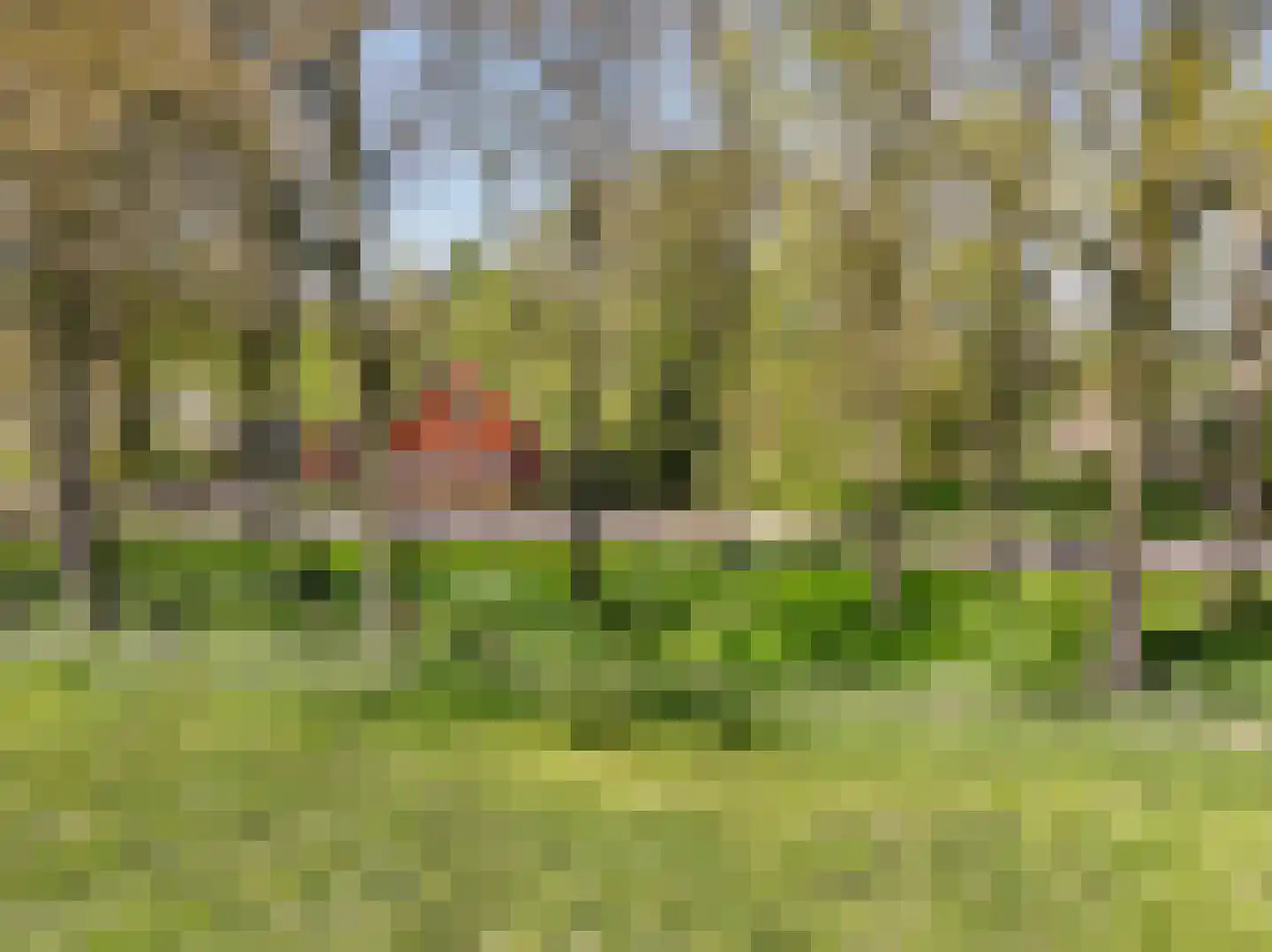 Sappemeersterweg 25 Noordbroek thumbnail 51