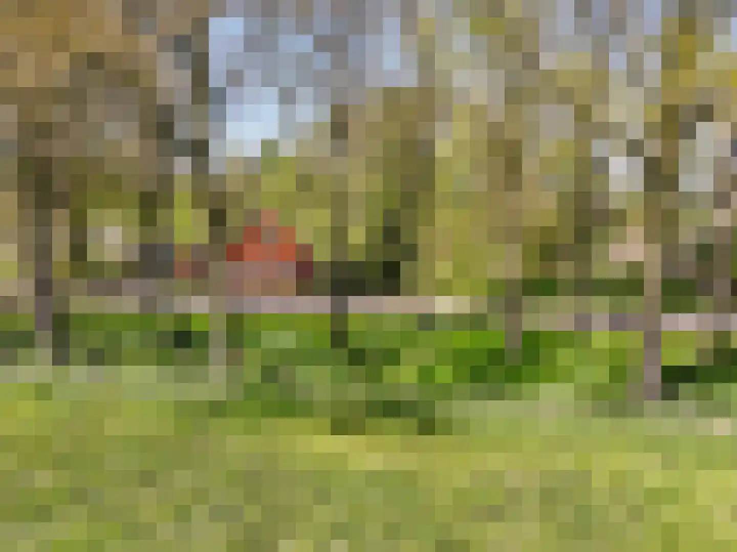 Sappemeersterweg 25 Noordbroek thumbnail 51