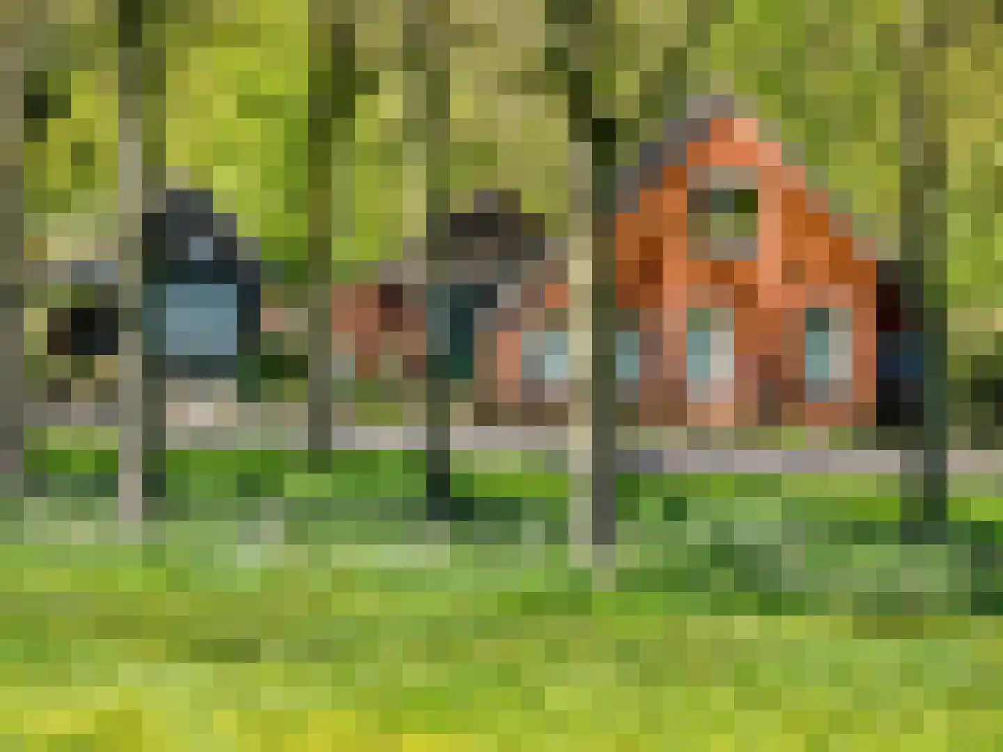 Sappemeersterweg 25 Noordbroek thumbnail 52