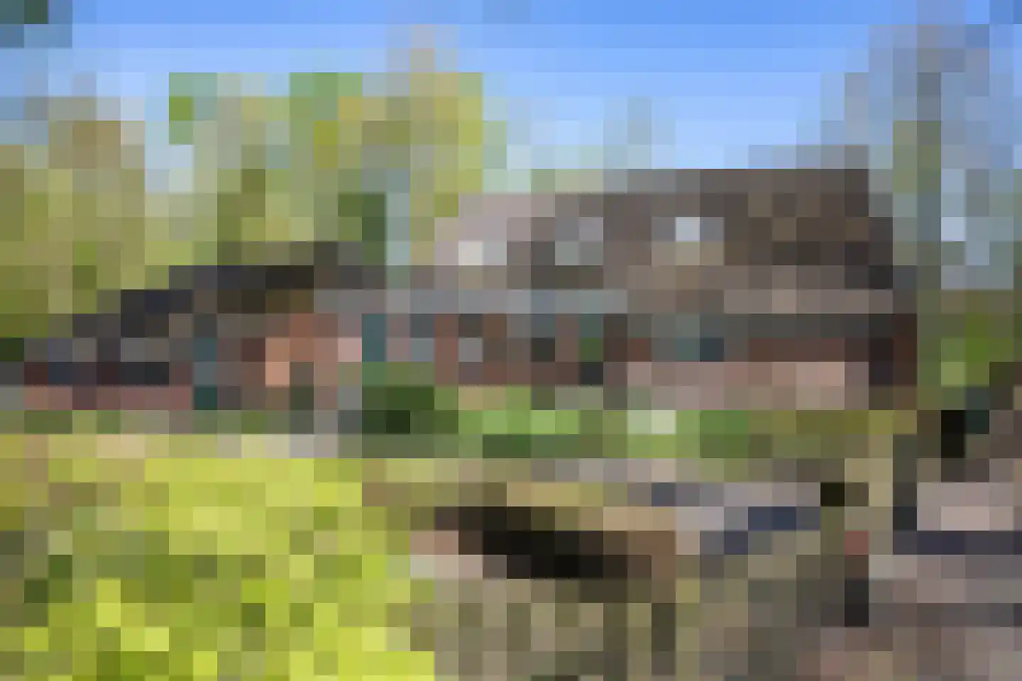 Sappemeersterweg 25 Noordbroek thumbnail 6