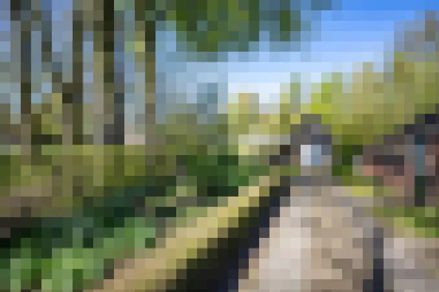 Sappemeersterweg 25 Noordbroek thumbnail 7