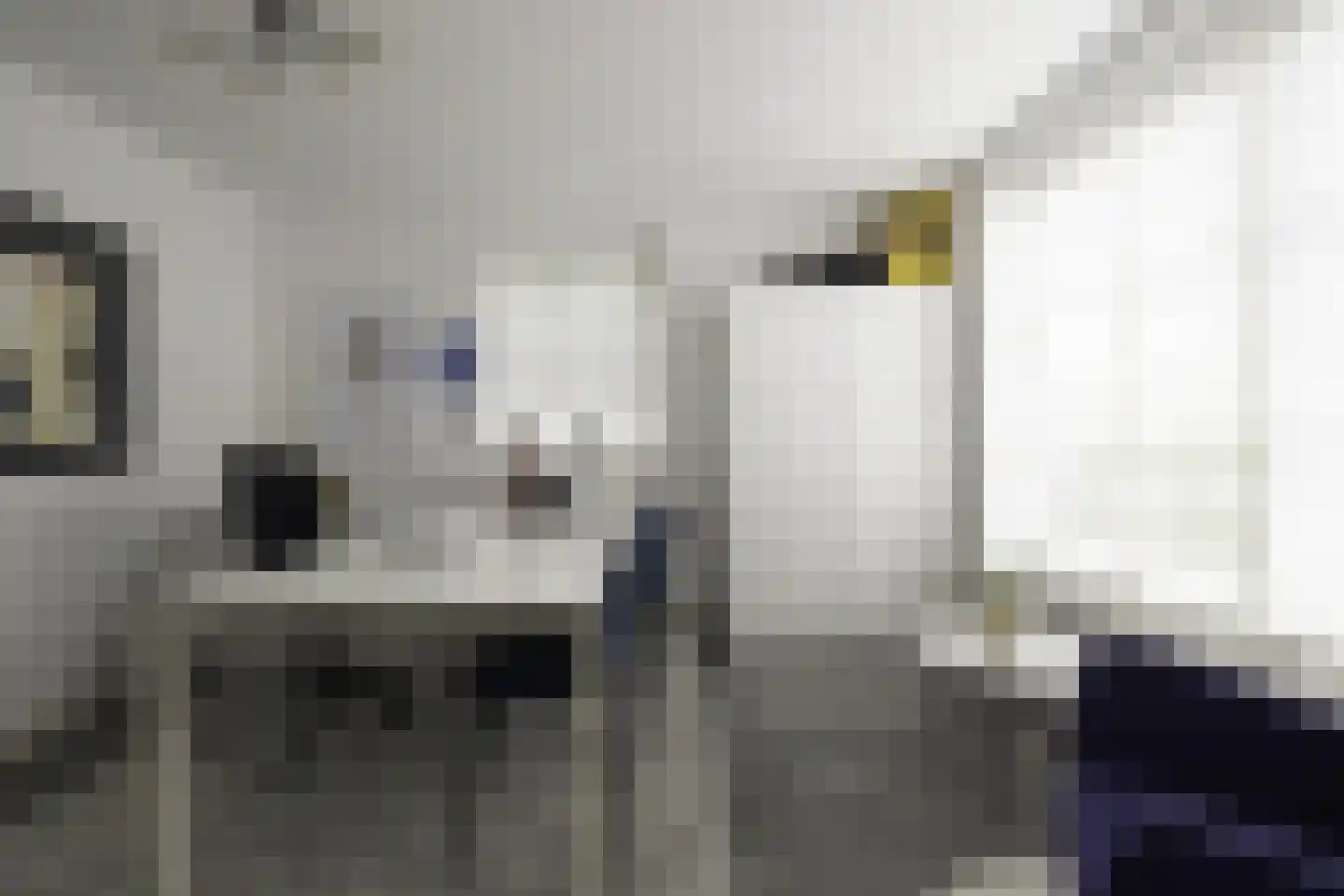 Sapporodreef 16 Nieuw-Vennep thumbnail 24