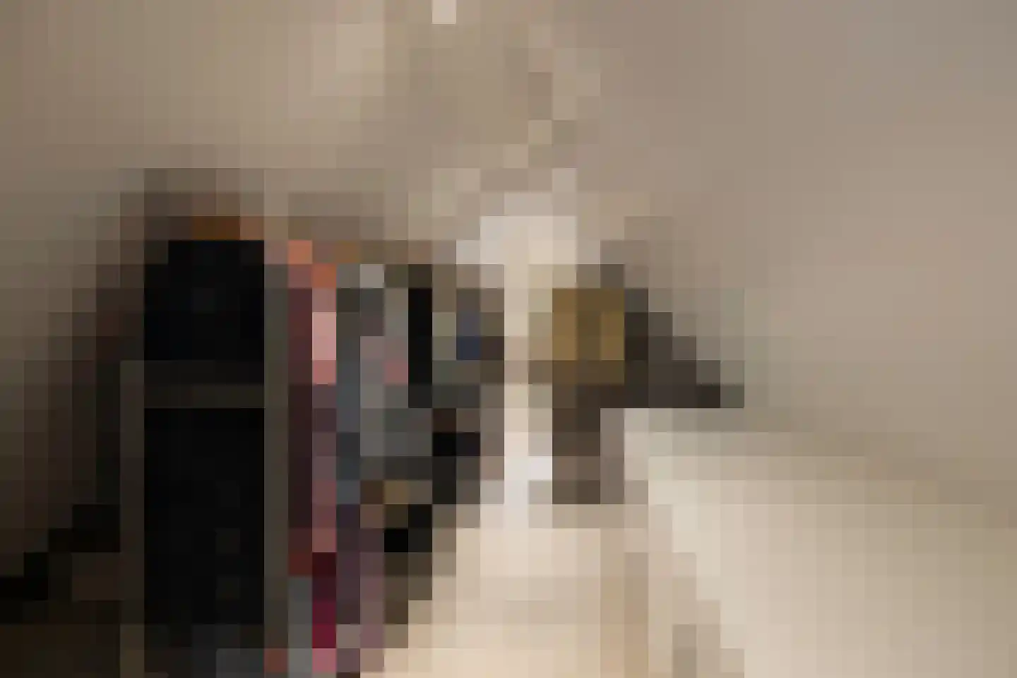 Sapporodreef 16 Nieuw-Vennep thumbnail 39