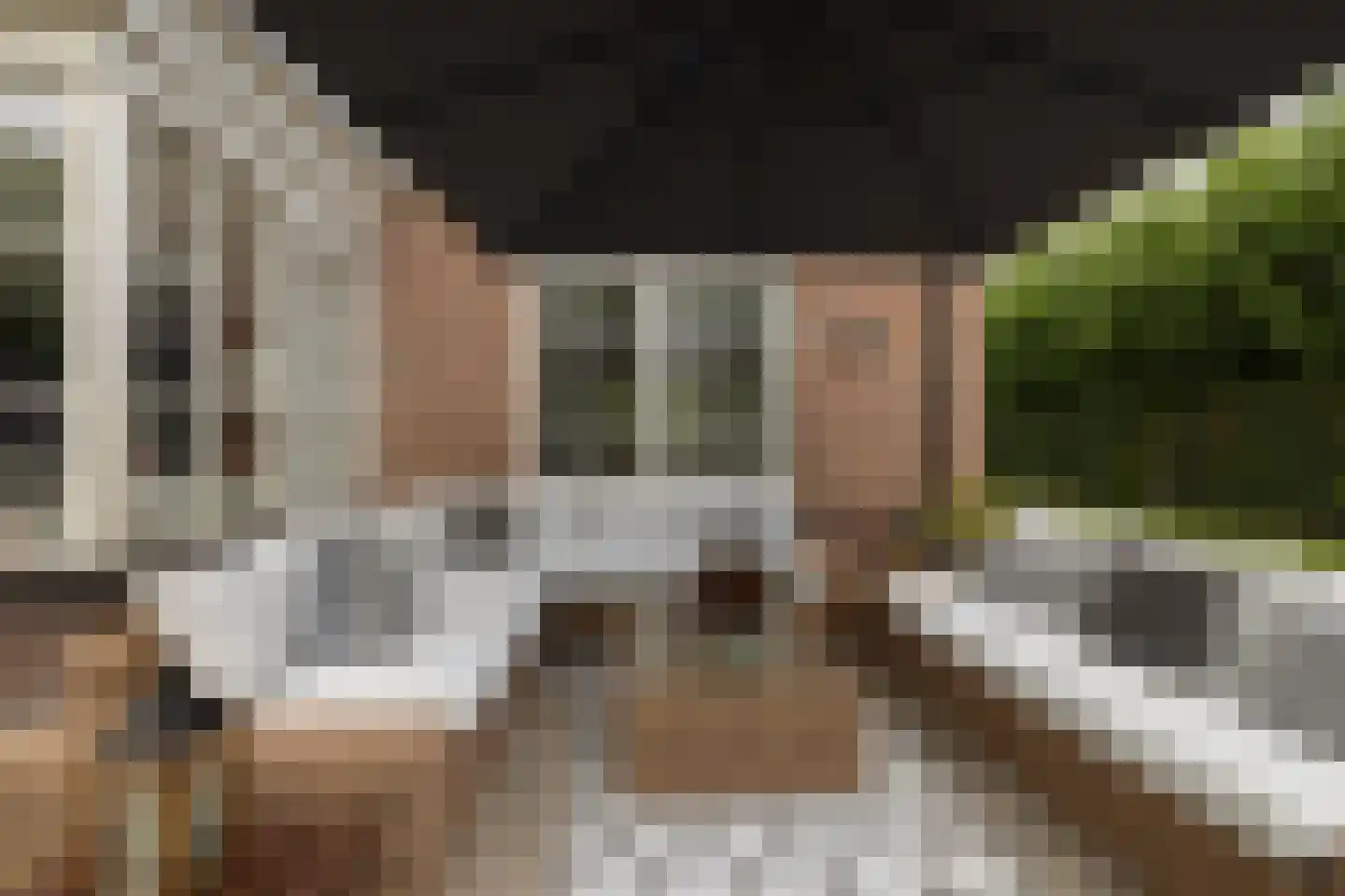 Sapporodreef 16 Nieuw-Vennep thumbnail 44