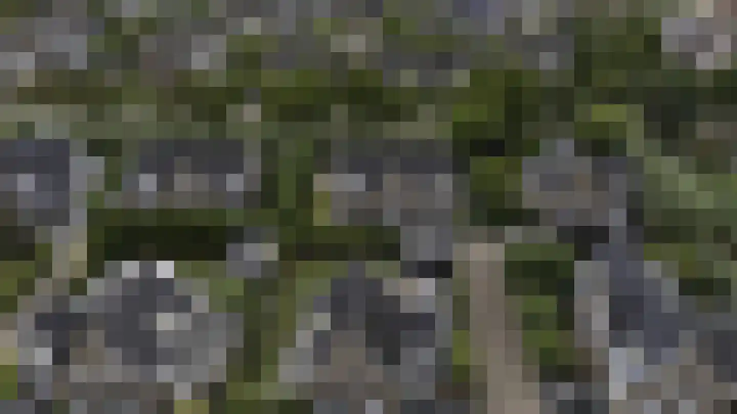 Sapporodreef 16 Nieuw-Vennep thumbnail 50