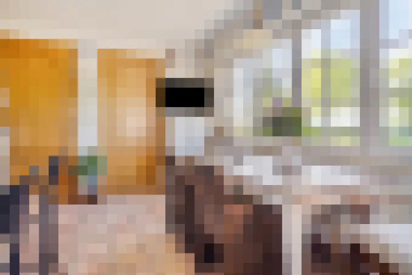 Sara Beytsweg 6 Eede thumbnail 21