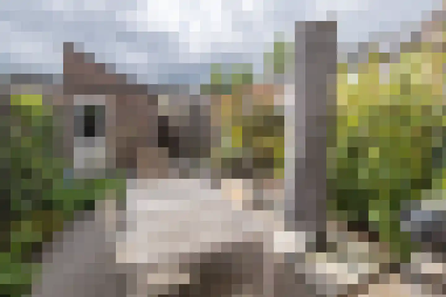Sara Burgerhartsingel 201 Amersfoort thumbnail 31