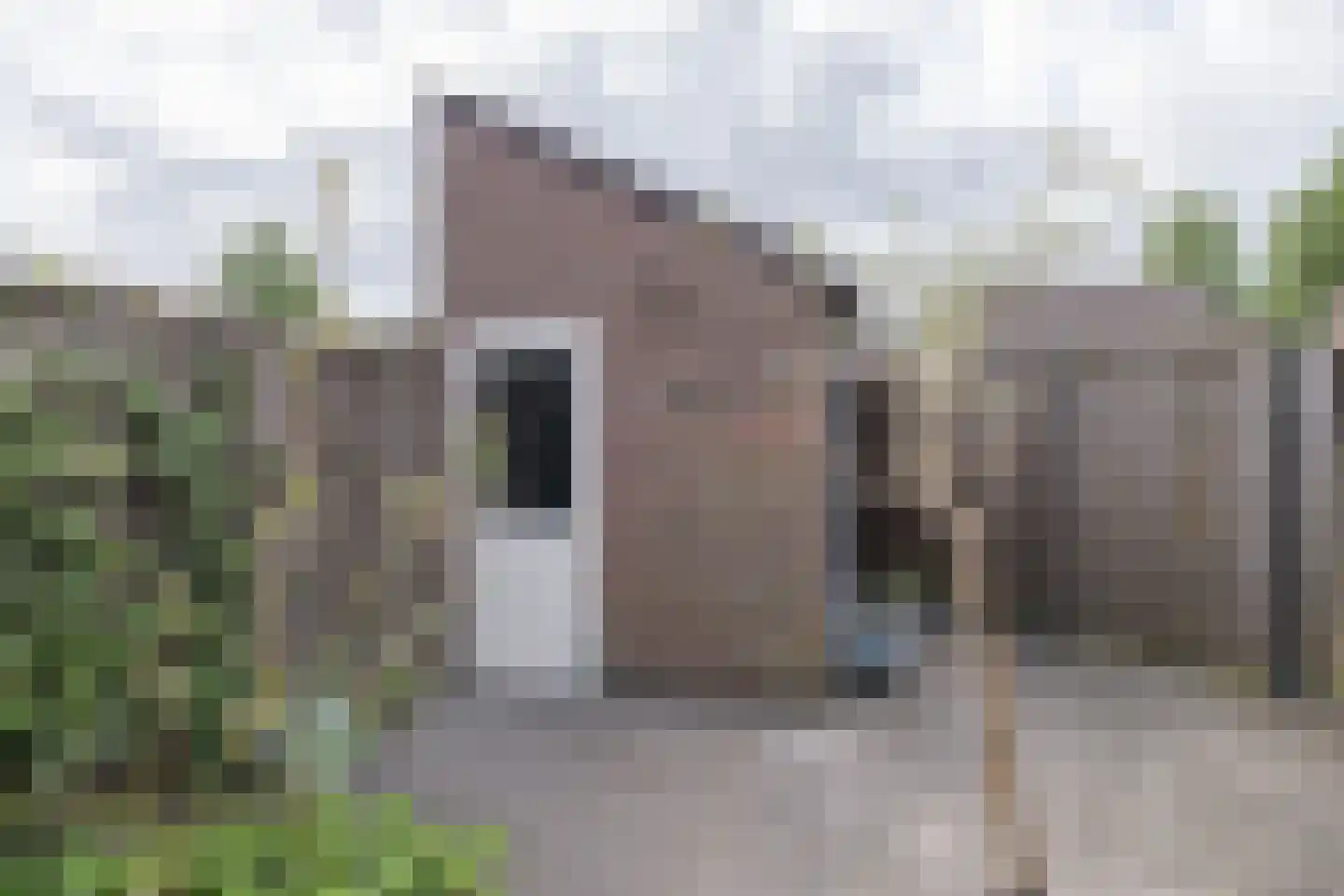 Sara Burgerhartsingel 201 Amersfoort thumbnail 33