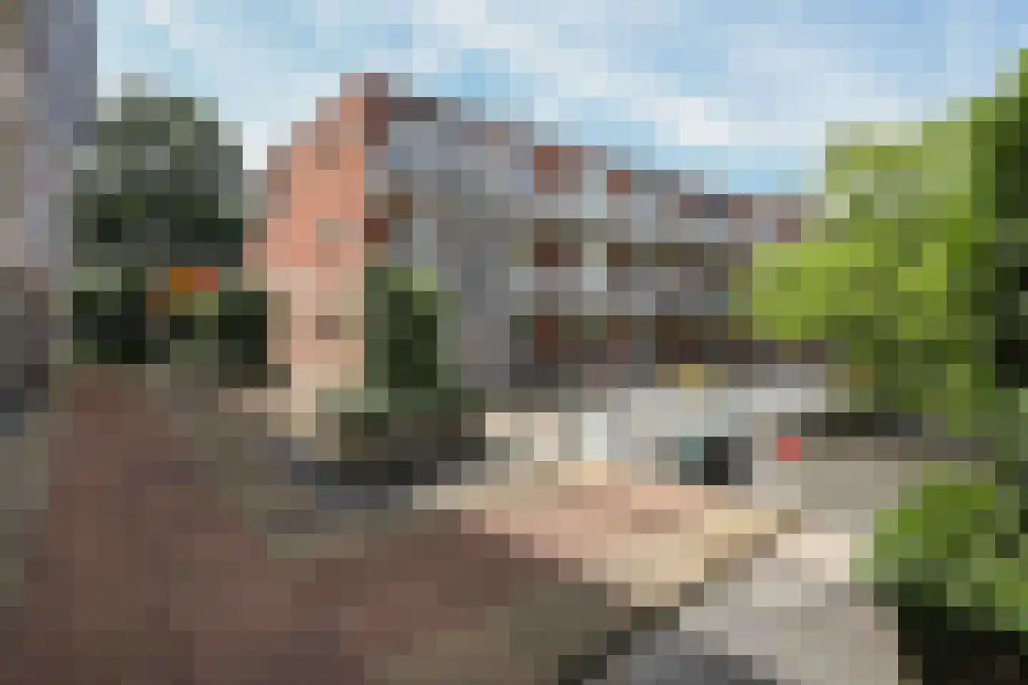 Sara Burgerhartsingel 301 Amersfoort thumbnail 24