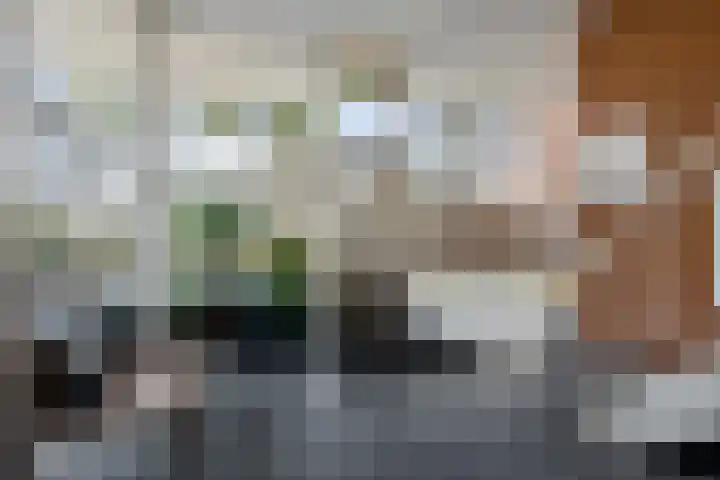 Sara Burgerhartsingel 323 Amersfoort thumbnail 7