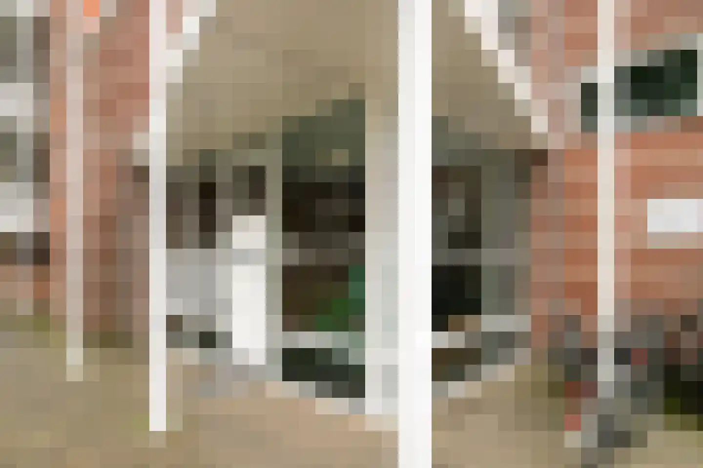 Sara Burgerhartsingel 337 Amersfoort thumbnail 21