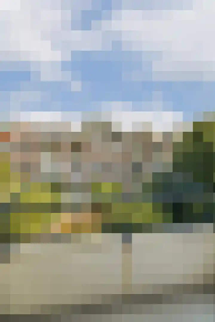 Sara Burgerhartstraat 38 2 Amsterdam thumbnail 9
