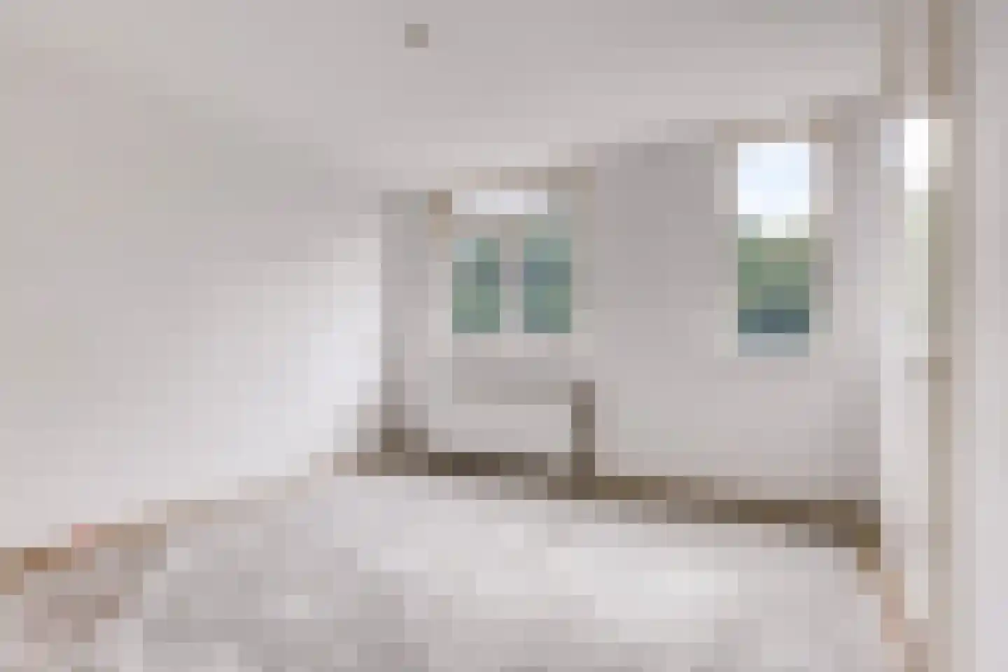 Sara Cornelia Molen 48 Rotterdam thumbnail 13