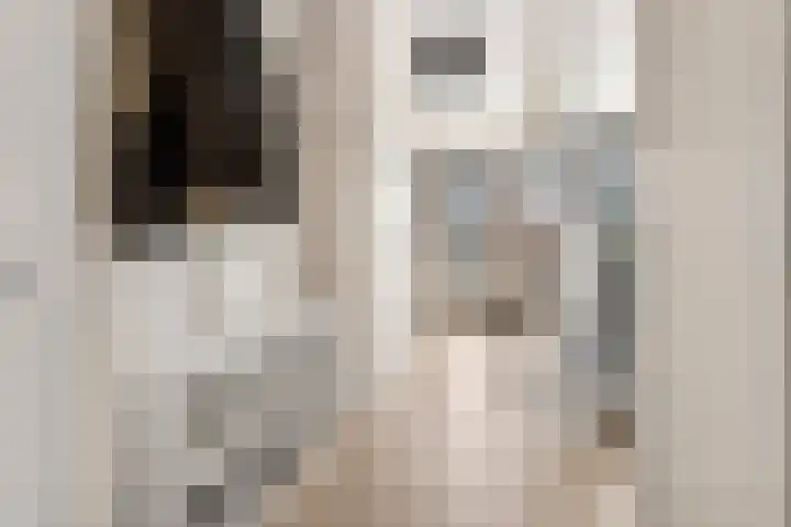 Sara Cornelia Molen 48 Rotterdam thumbnail 8