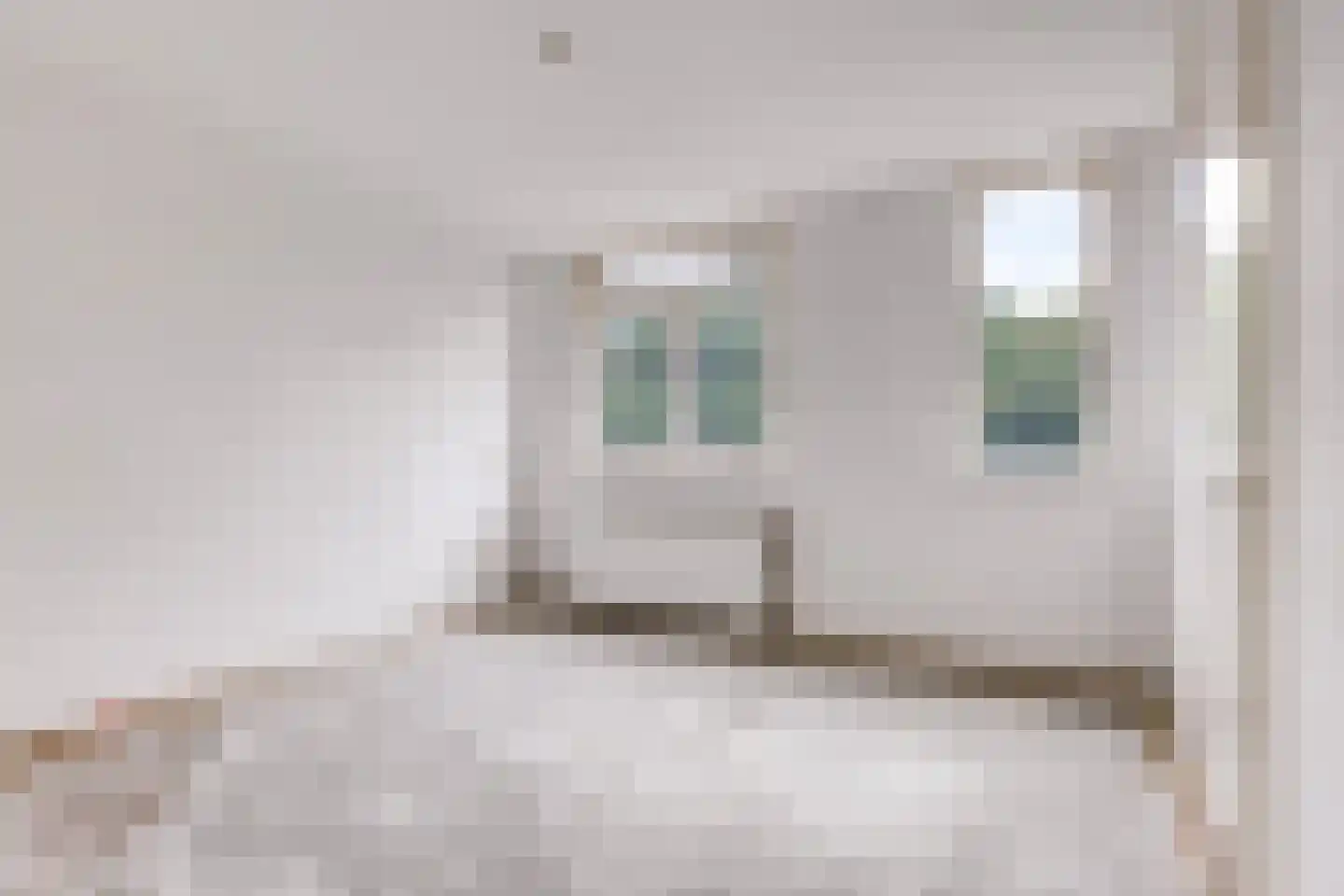 Sara Cornelia Molen 48 Rotterdam thumbnail 9