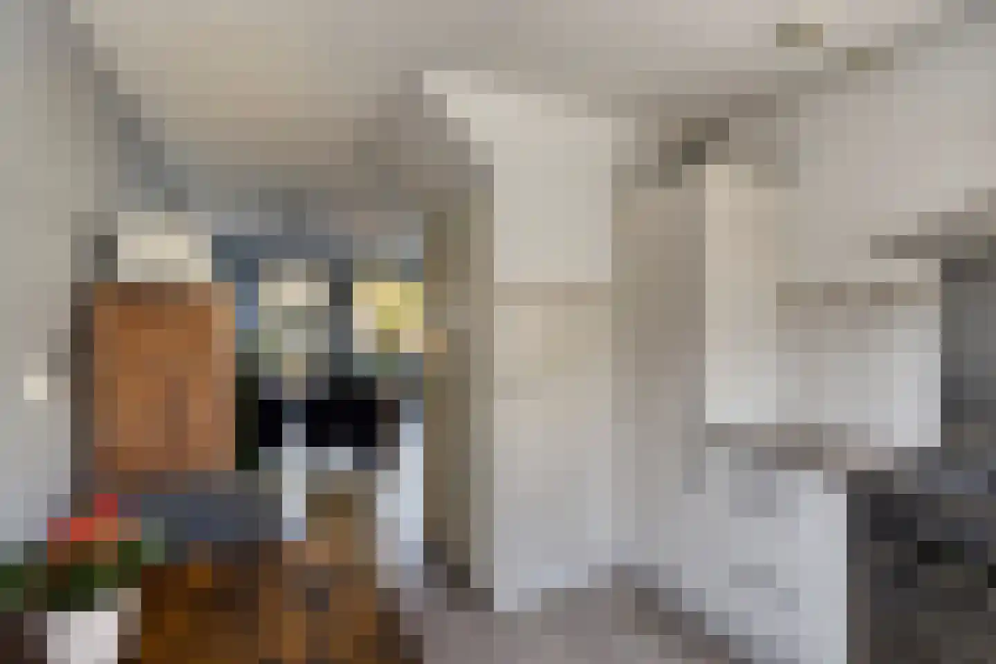 Sara Knipscheerstraat 11 Leiden thumbnail 11