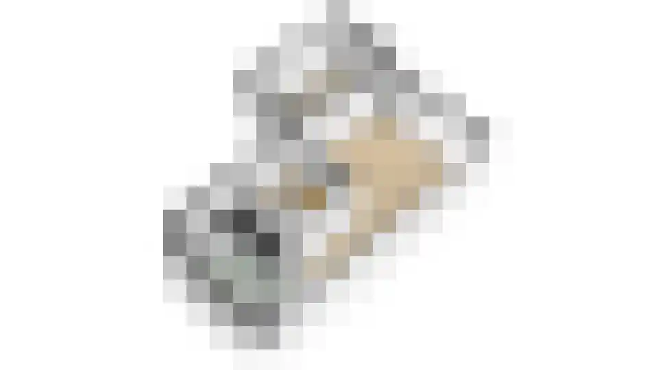 Sara Mansveltweg 53 Wolfheze thumbnail 45