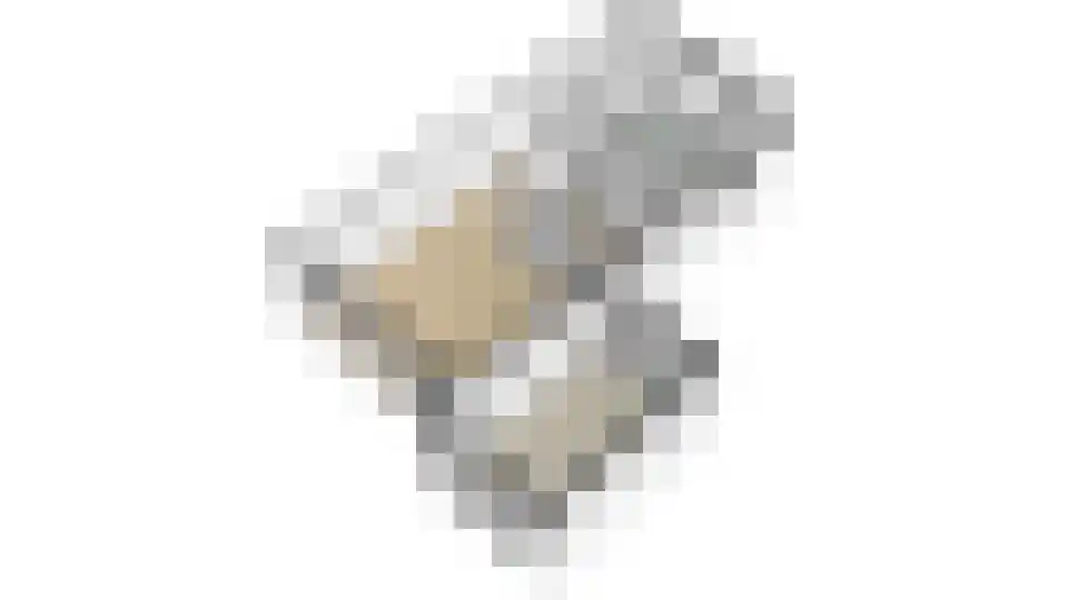 Sara Mansveltweg 53 Wolfheze thumbnail 46