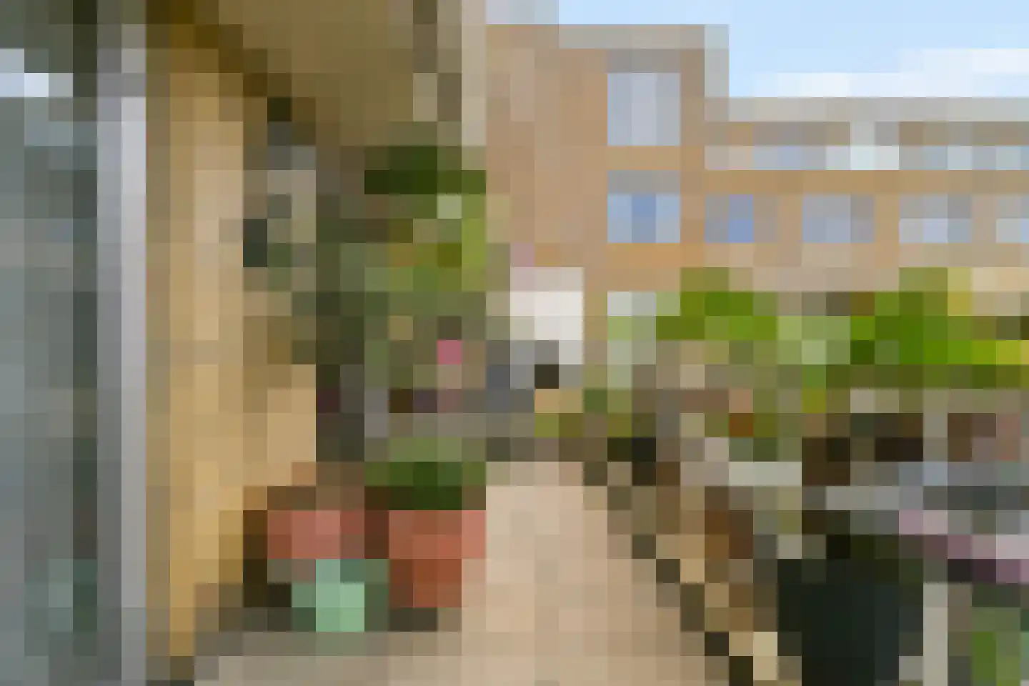 Sara Roosstraat 62 Zandvoort thumbnail 13