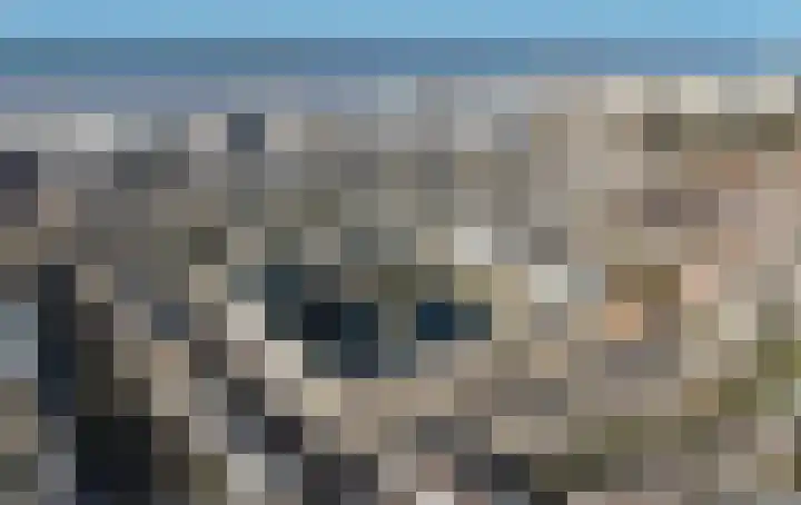Sara Roosstraat 76 Zandvoort thumbnail 4