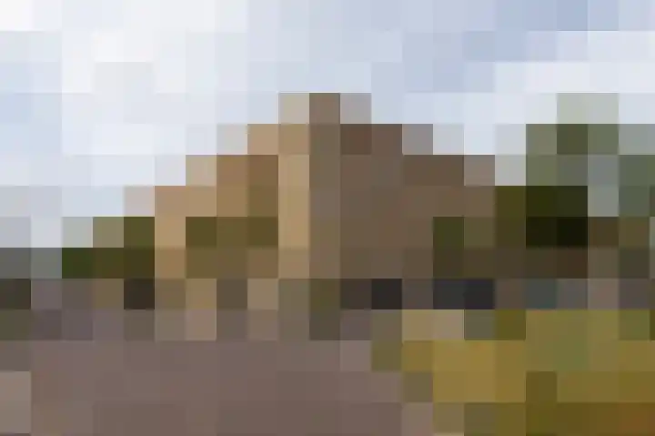 Sara Roosstraat 76 Zandvoort thumbnail 5