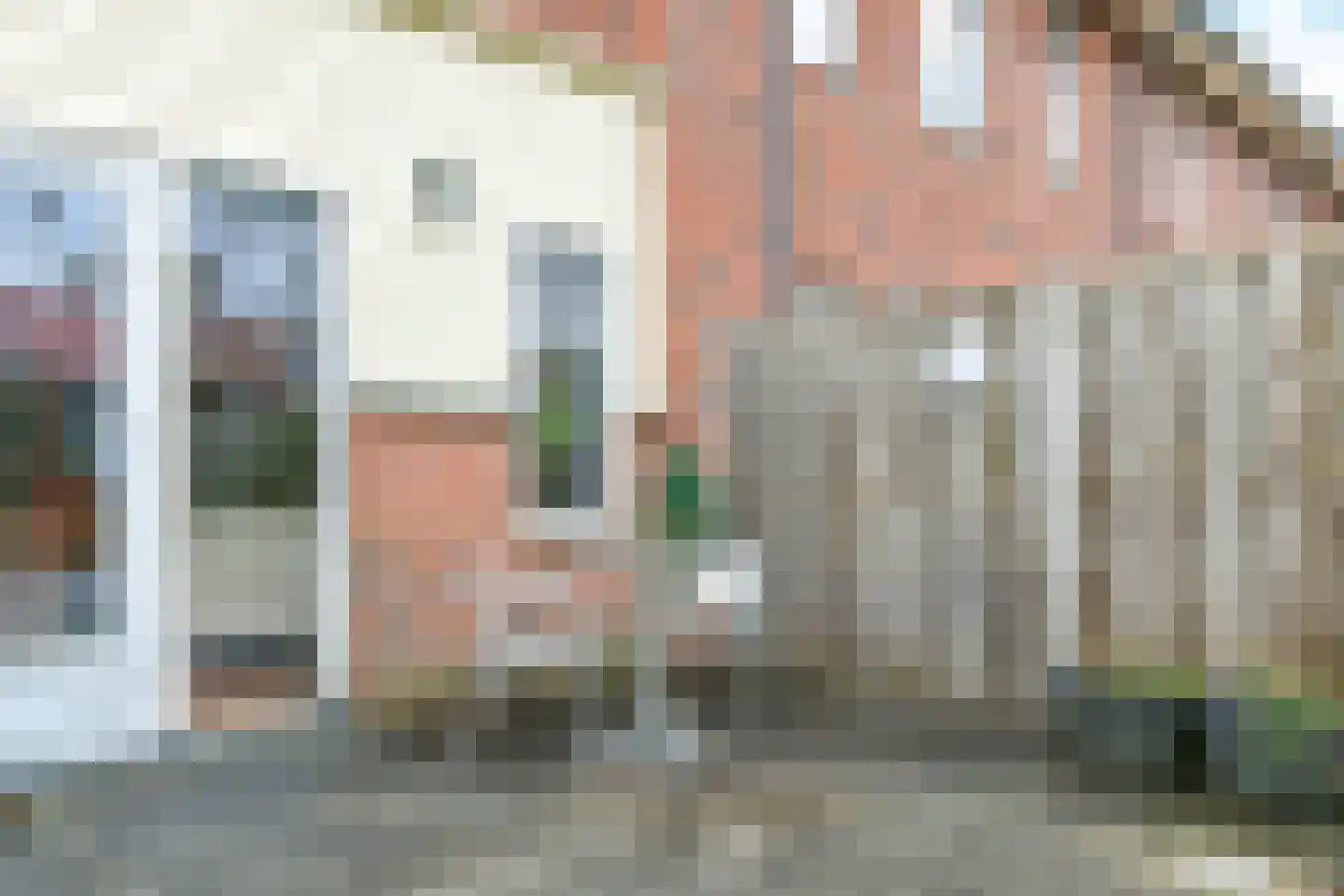 Sarabande 110 Nieuw-Vennep thumbnail 21