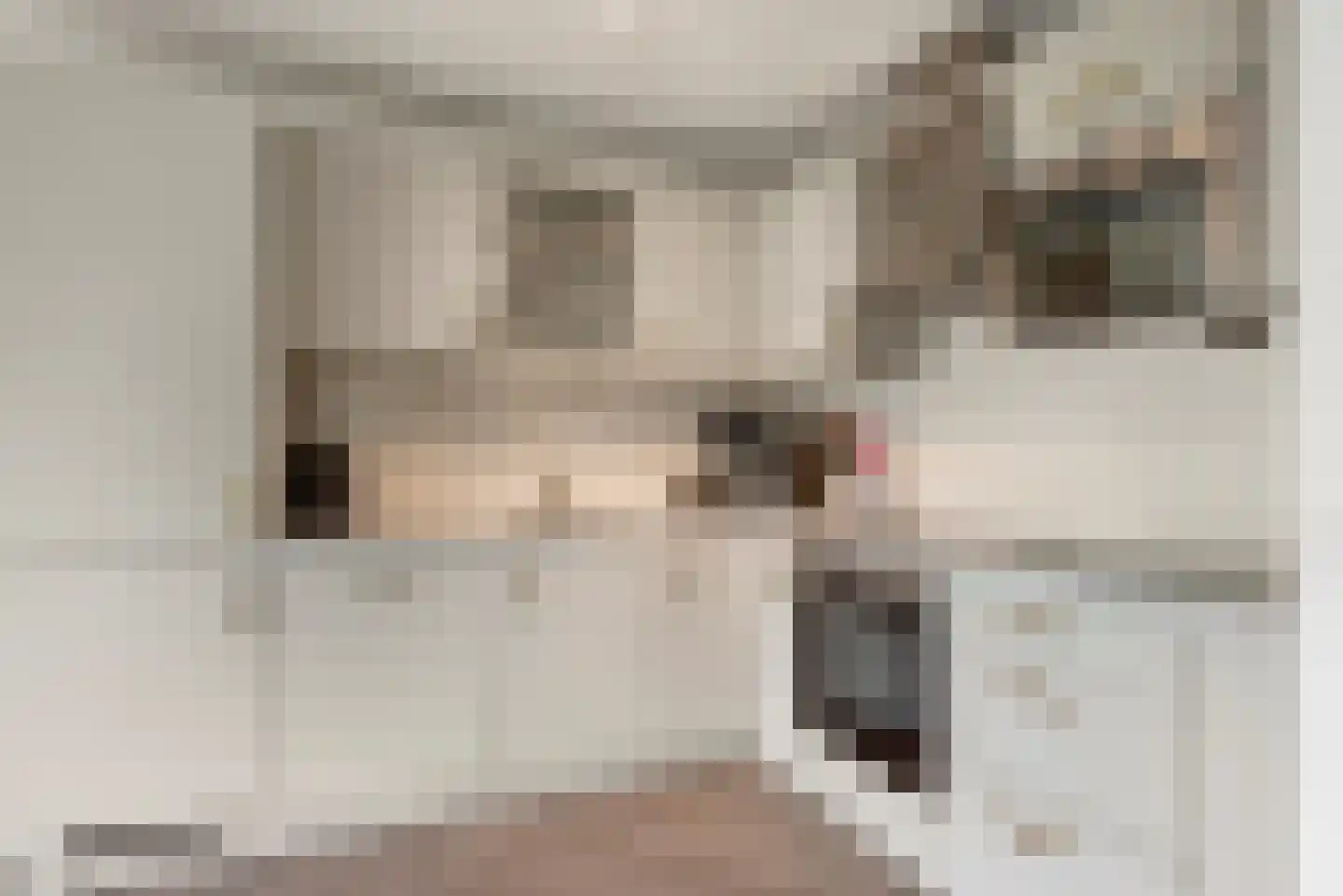 Sarabande 12 Nieuw-Vennep thumbnail 14