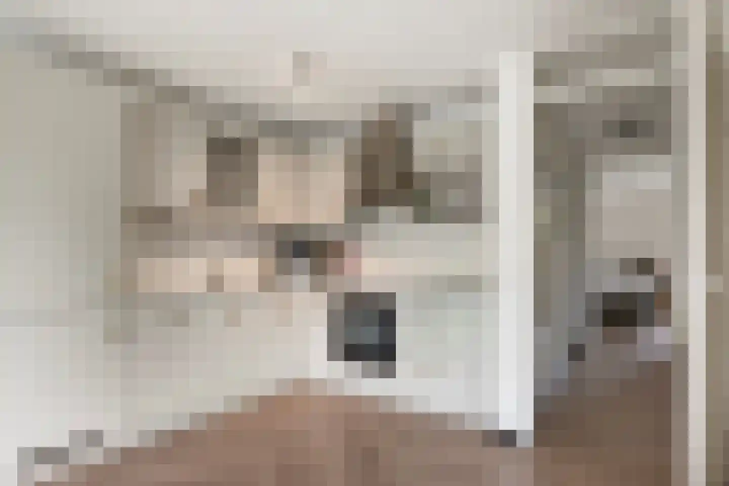 Sarabande 12 Nieuw-Vennep thumbnail 5