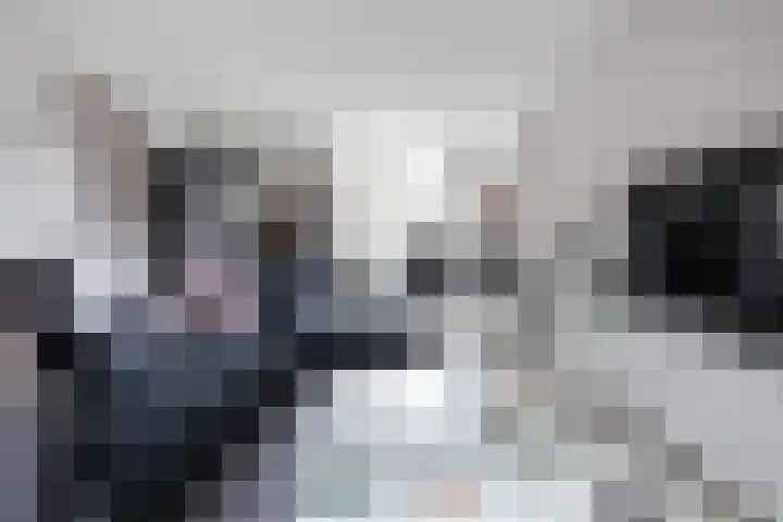 Sarabande 138 Nieuw-Vennep thumbnail 10