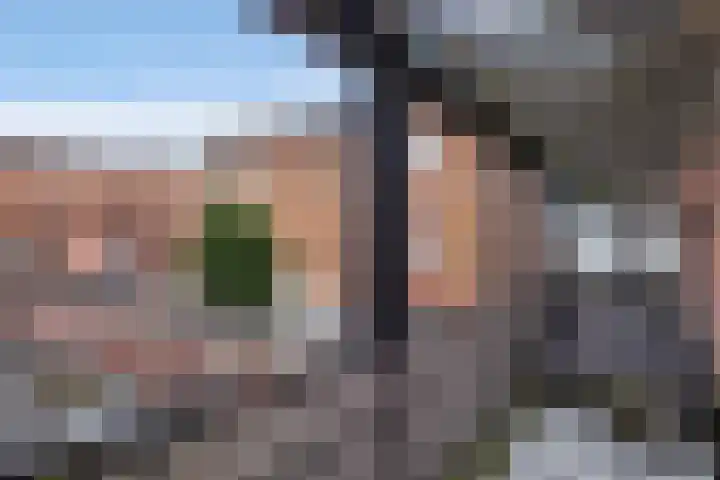 Sarabande 138 Nieuw-Vennep thumbnail 23