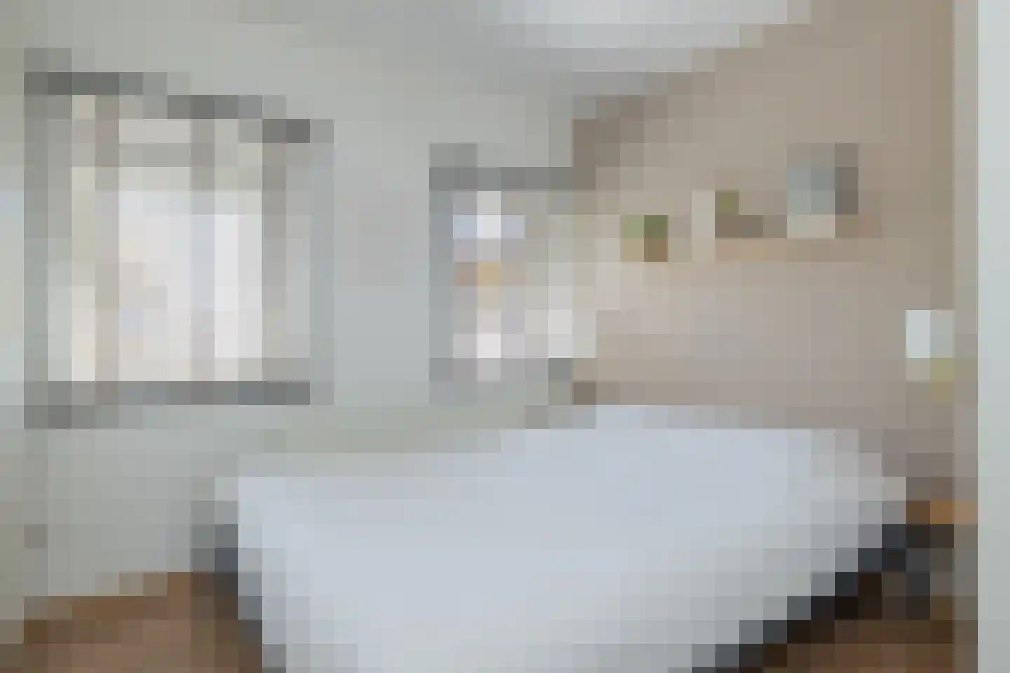Sarabande 15 Nieuw-Vennep thumbnail 30