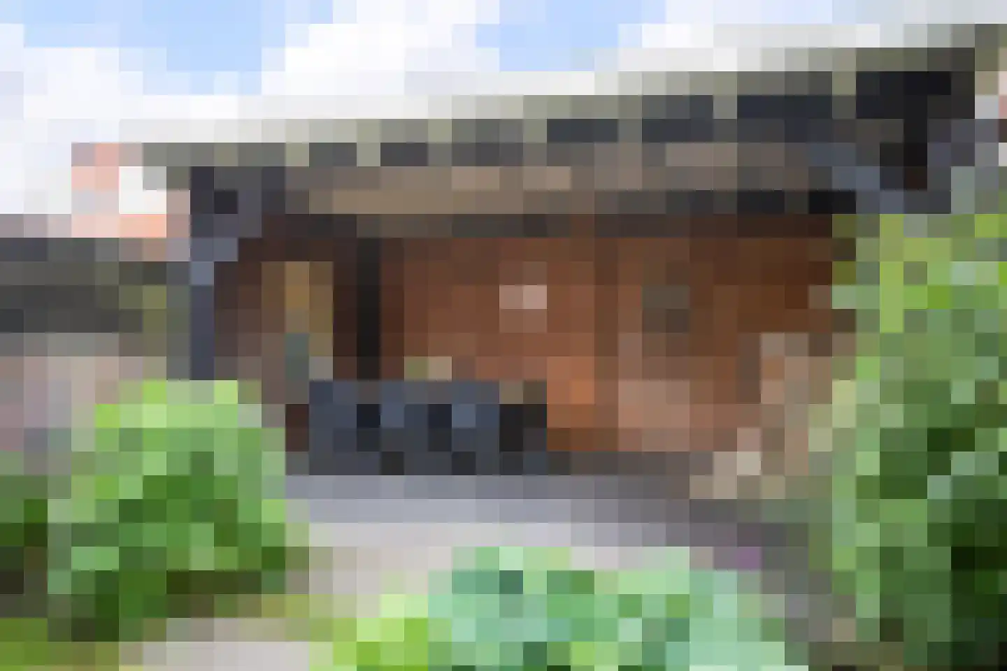 Sarabande 77 Nieuw-Vennep thumbnail 40