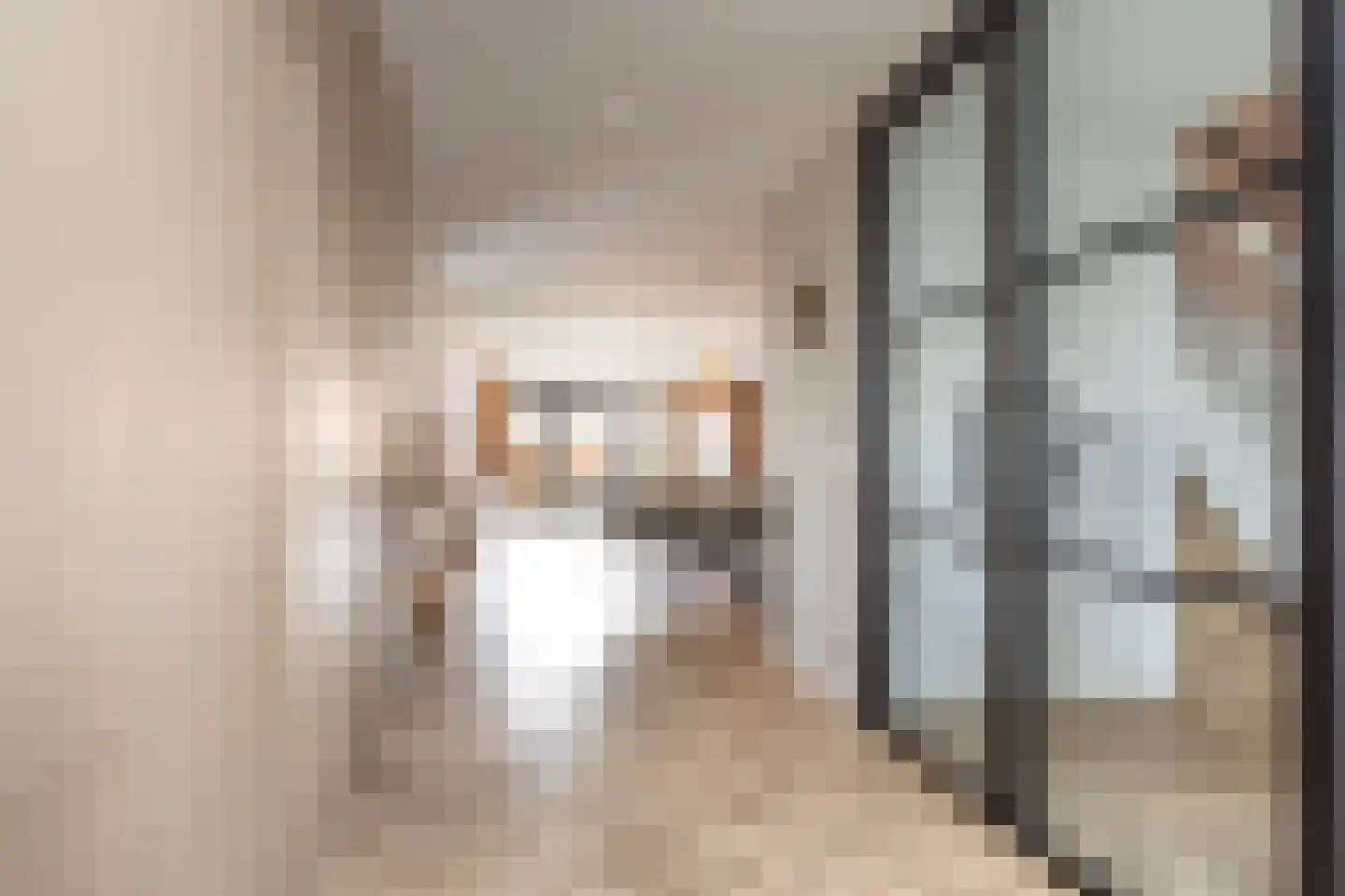 Sarabande 77 Nieuw-Vennep thumbnail 9