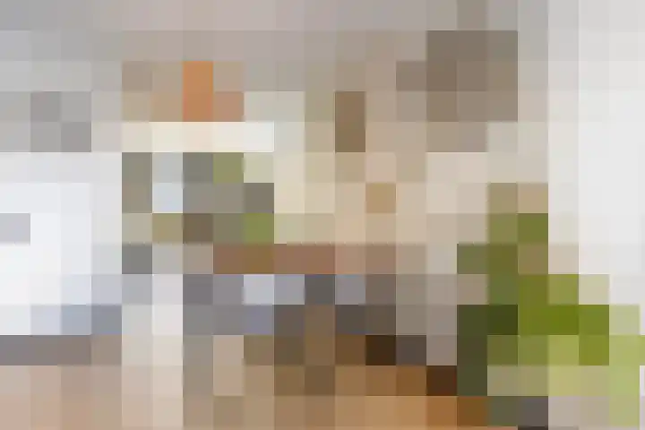 Sarabandeplein 4 Apeldoorn thumbnail 10