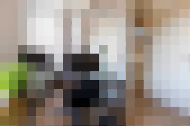 Sarabandeplein 4 Apeldoorn thumbnail 18
