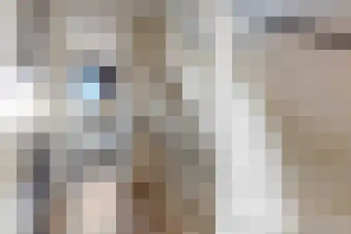 Sarabandeplein 4 Apeldoorn thumbnail 23