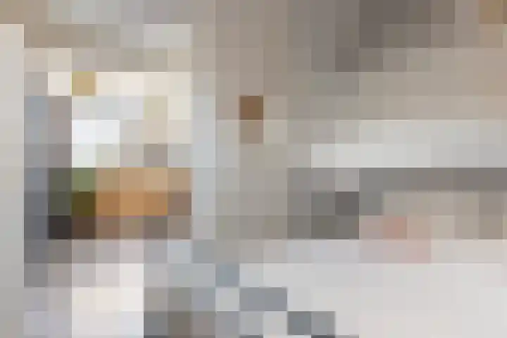 Sarabandeplein 4 Apeldoorn thumbnail 26