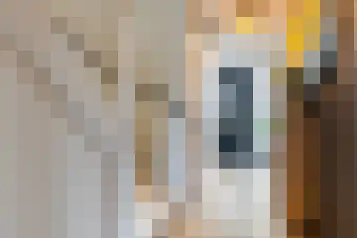 Sarabandeplein 4 Apeldoorn thumbnail 6