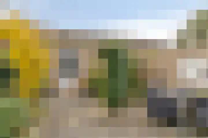 Saramaccastraat 25 Purmerend thumbnail 28