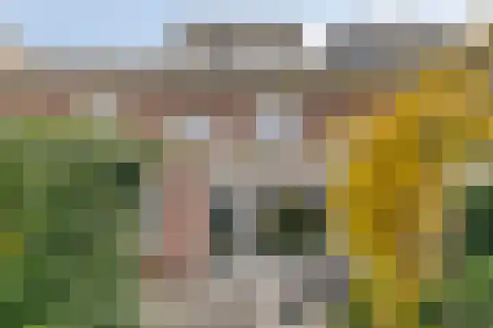 Saramaccastraat 25 Purmerend thumbnail 29