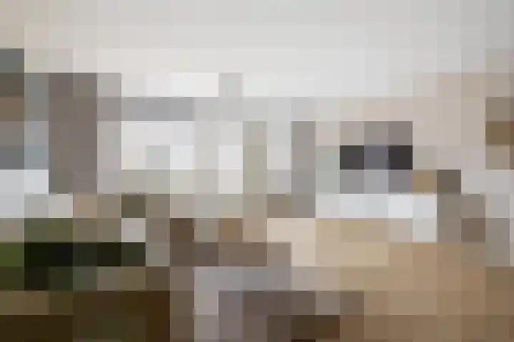 Saramaccastraat 7 Purmerend thumbnail 11