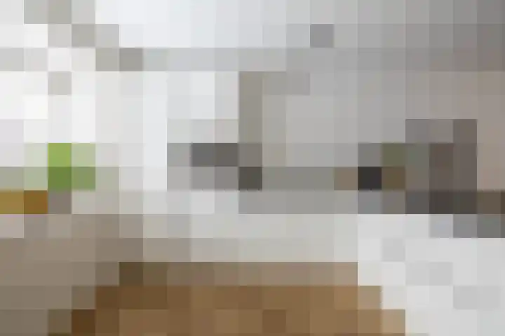 Saramaccastraat 7 Purmerend thumbnail 16